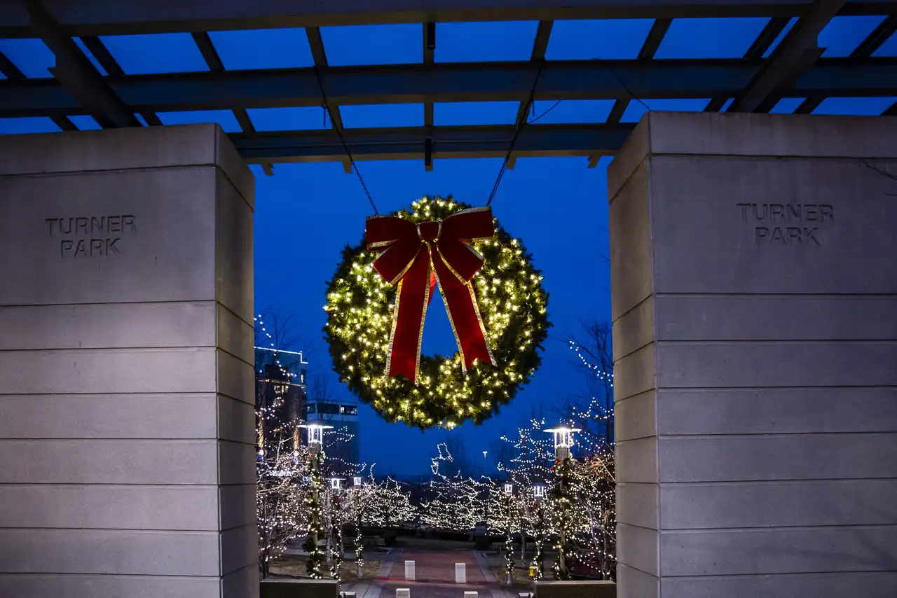 Commercial Christmas lights
