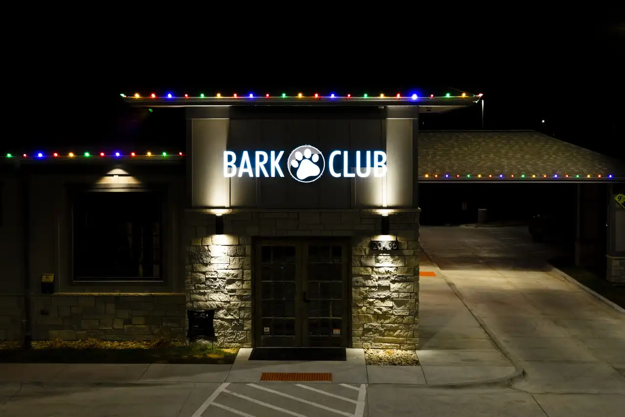 Commercial Christmas lights