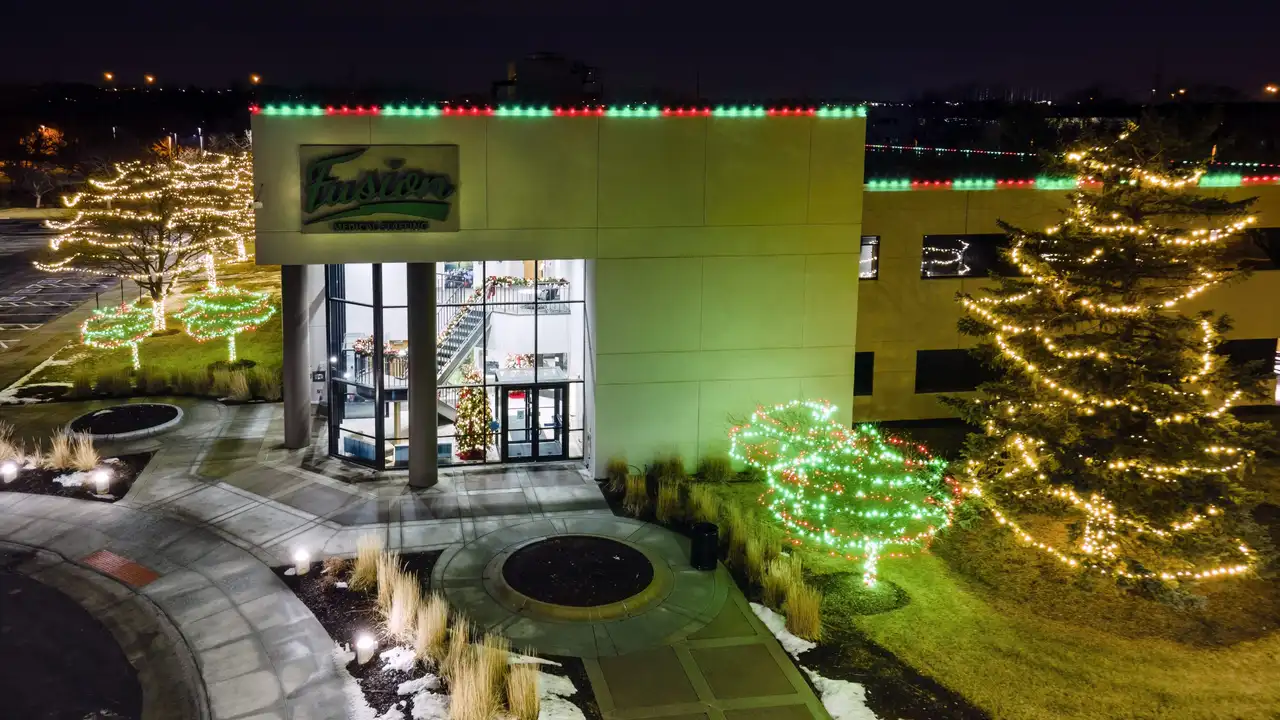 Commercial Christmas lights