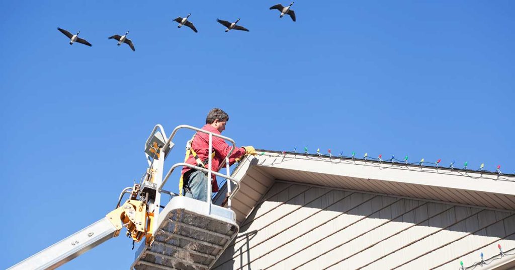 Benefits of Professional Christmas Lighting Installation